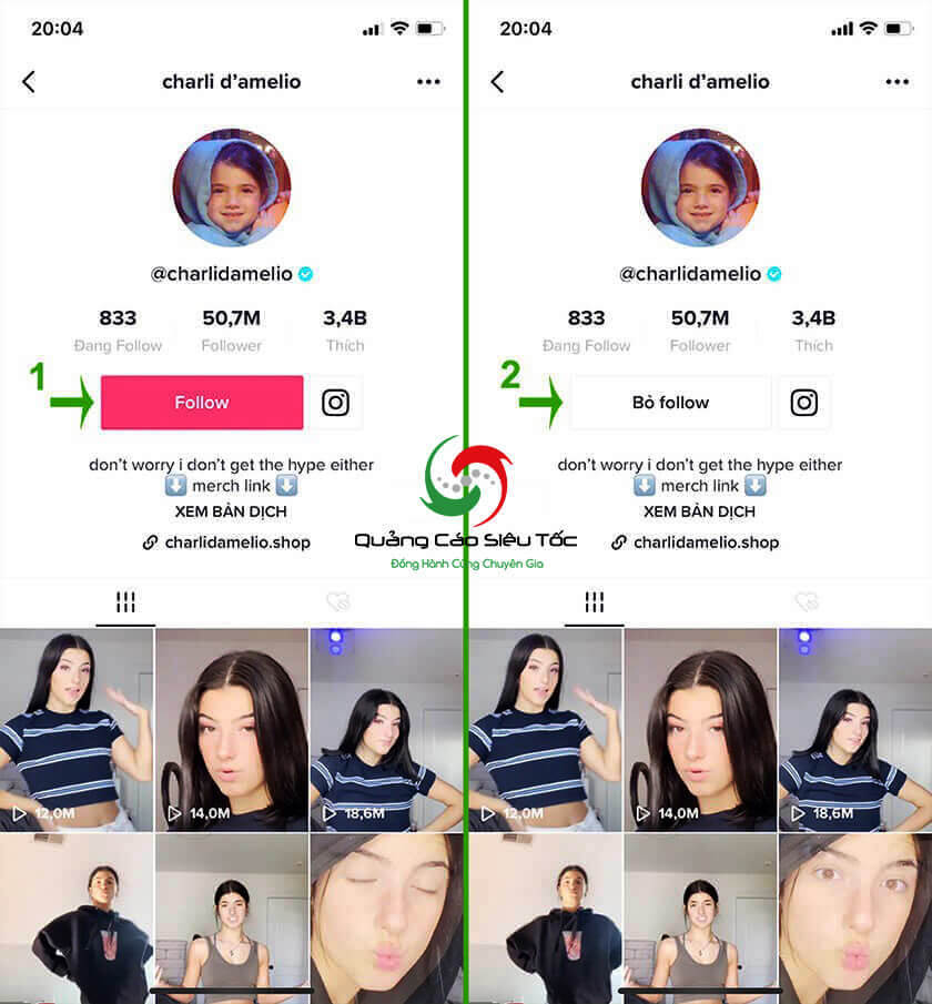 auto follow tiktok