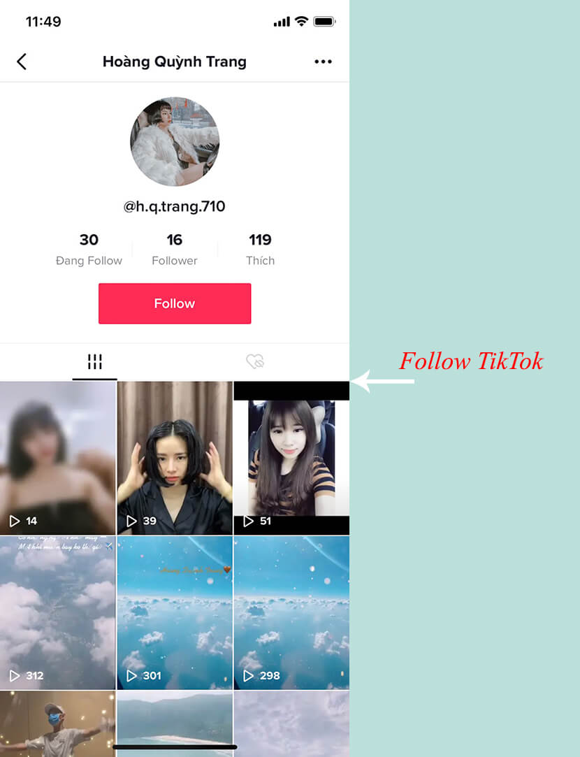 follow-tiktok